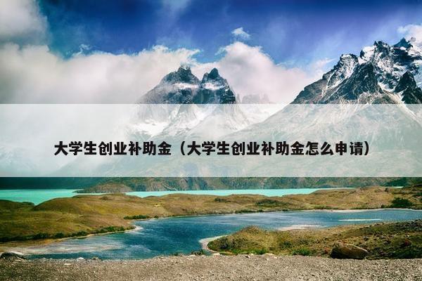 大学生创业补助金（大学生创业补助金怎么申请）
