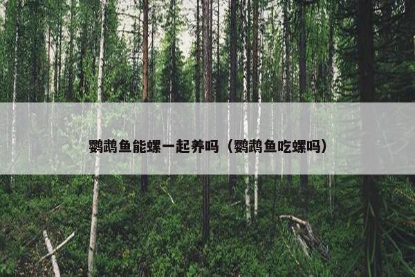 鹦鹉鱼能螺一起养吗（鹦鹉鱼吃螺吗）