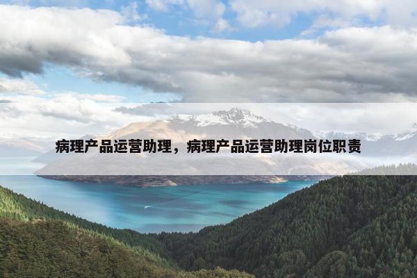 病理产品运营助理，病理产品运营助理岗位职责