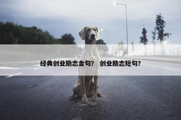 经典创业励志金句？ 创业励志短句？