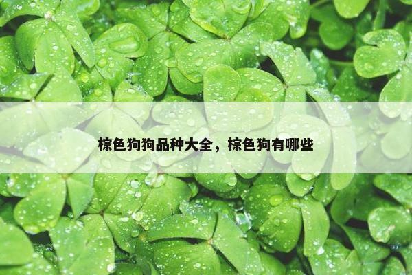 棕色狗狗品种大全，棕色狗有哪些