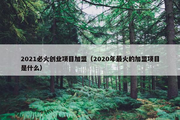 2021必火创业项目加盟（2020年最火的加盟项目是什么）