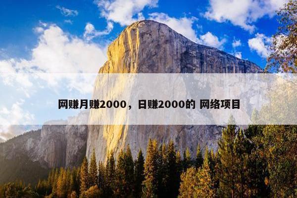 网赚月赚2000，日赚2000的 网络项目