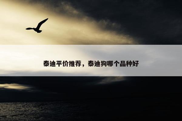 泰迪平价推荐，泰迪狗哪个品种好