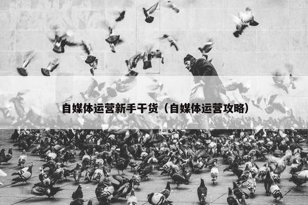 自媒体运营新手干货（自媒体运营攻略）