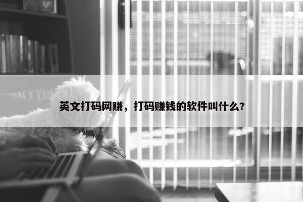 英文打码网赚，打码赚钱的软件叫什么?