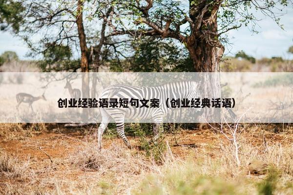 创业经验语录短句文案（创业经典话语）