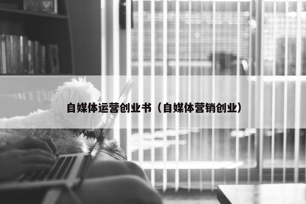 自媒体运营创业书（自媒体营销创业）