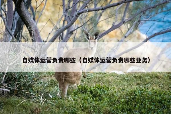 自媒体运营负责哪些（自媒体运营负责哪些业务）