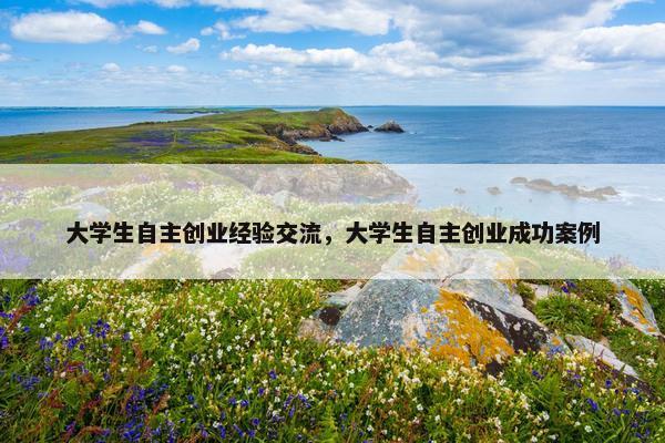 大学生自主创业经验交流，大学生自主创业成功案例