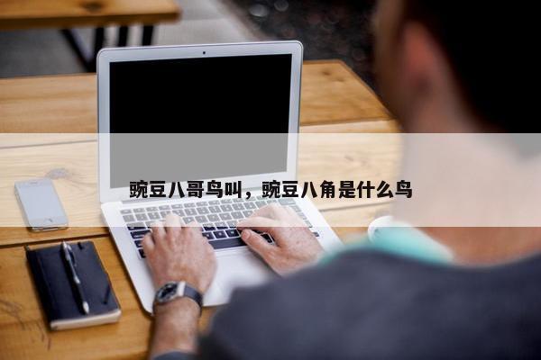 豌豆八哥鸟叫，豌豆八角是什么鸟