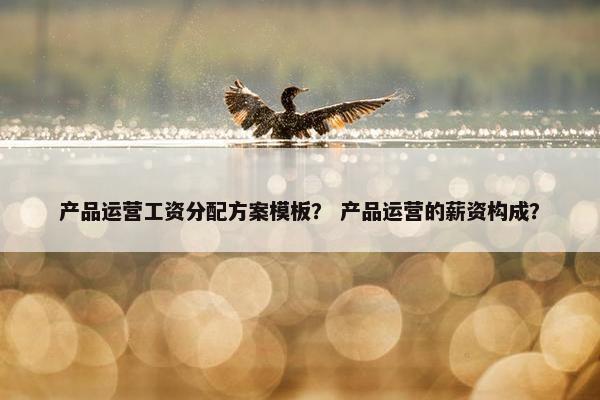 产品运营工资分配方案模板？ 产品运营的薪资构成？