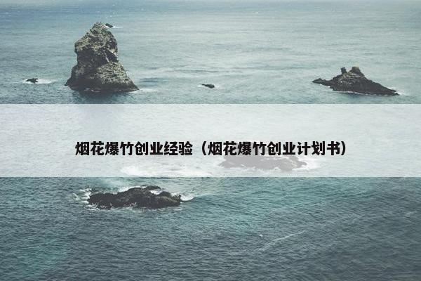 烟花爆竹创业经验（烟花爆竹创业计划书）