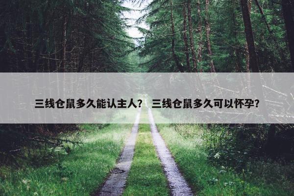 三线仓鼠多久能认主人？ 三线仓鼠多久可以怀孕？
