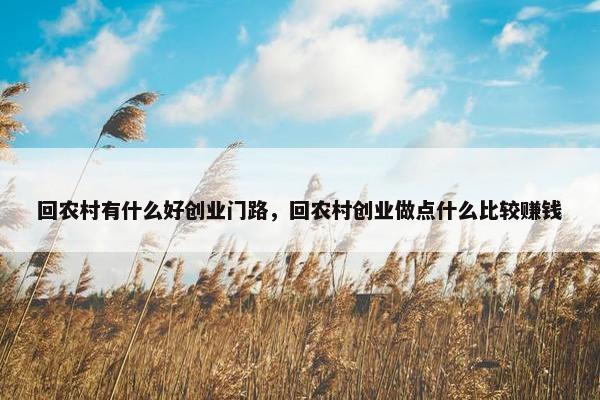 回农村有什么好创业门路，回农村创业做点什么比较赚钱