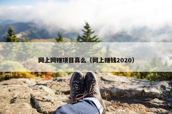 网上网赚项目真么（网上赚钱2020）