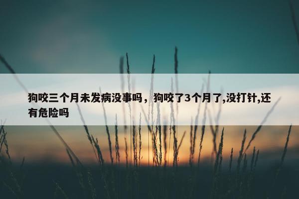 狗咬三个月未发病没事吗，狗咬了3个月了,没打针,还有危险吗