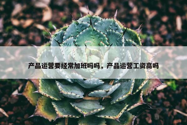 产品运营要经常加班吗吗，产品运营工资高吗
