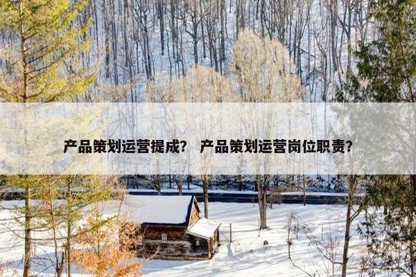 产品策划运营提成？ 产品策划运营岗位职责？