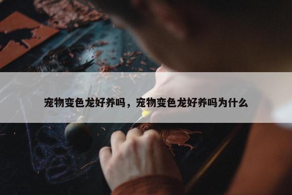 宠物变色龙好养吗，宠物变色龙好养吗为什么
