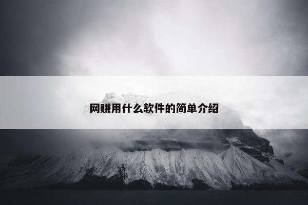 网赚用什么软件的简单介绍