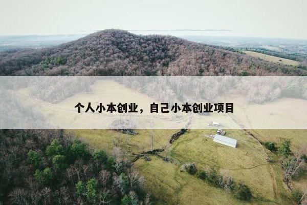 个人小本创业，自己小本创业项目