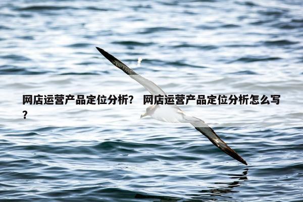 网店运营产品定位分析？ 网店运营产品定位分析怎么写？