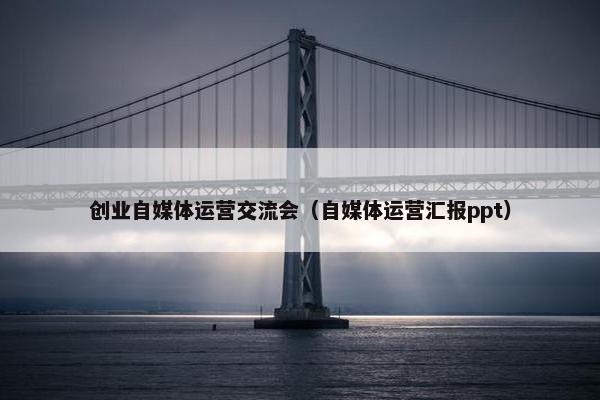 创业自媒体运营交流会（自媒体运营汇报ppt）