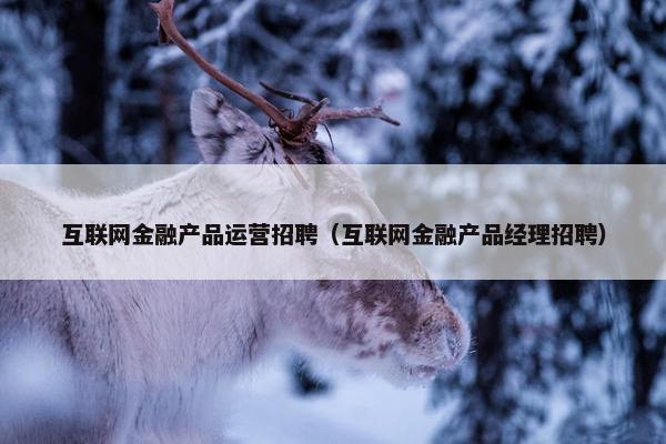 互联网金融产品运营招聘（互联网金融产品经理招聘）