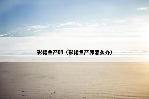 彩裙鱼产卵（彩裙鱼产卵怎么办）