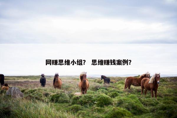 网赚思维小组？ 思维赚钱案例？