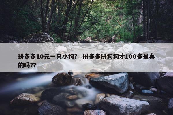 拼多多10元一只小狗？ 拼多多拼狗狗才100多是真的吗?？