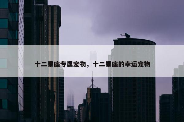 十二星座专属宠物，十二星座的幸运宠物