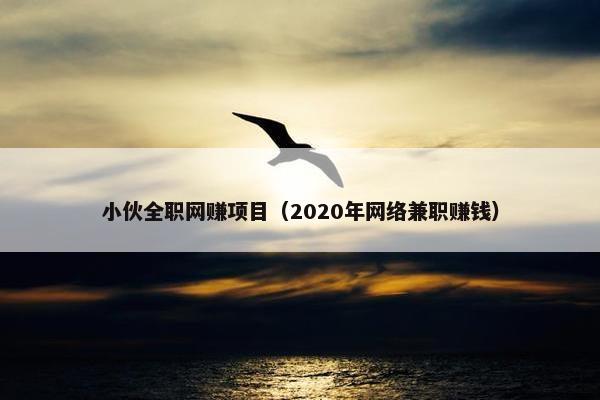 小伙全职网赚项目（2020年网络兼职赚钱）