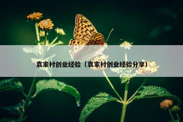 袁家村创业经验（袁家村创业经验分享）