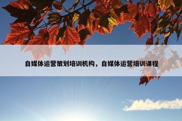 自媒体运营策划培训机构，自媒体运营培训课程