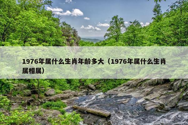 1976年属什么生肖年龄多大（1976年属什么生肖属相属）