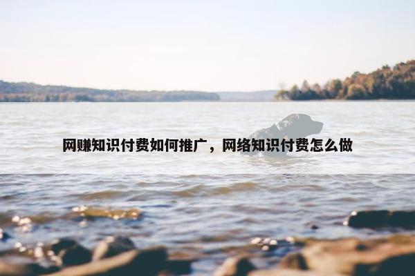 网赚知识付费如何推广，网络知识付费怎么做
