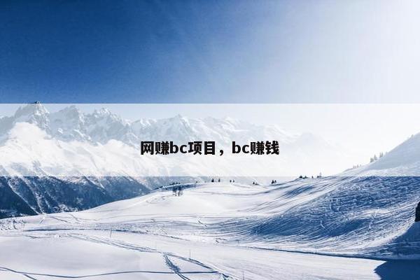网赚bc项目，bc赚钱