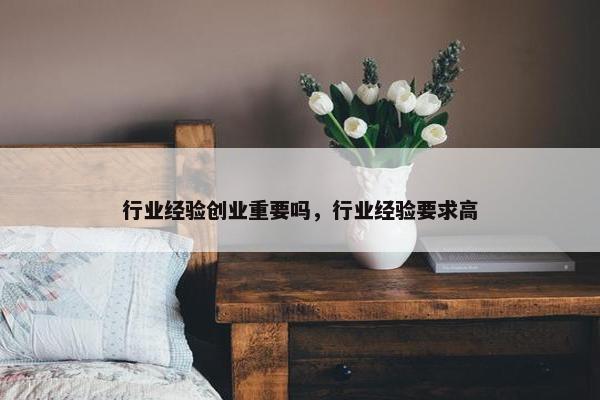行业经验创业重要吗，行业经验要求高