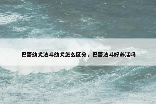 巴哥幼犬法斗幼犬怎么区分，巴哥法斗好养活吗