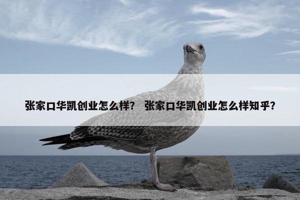 张家口华凯创业怎么样？ 张家口华凯创业怎么样知乎？
