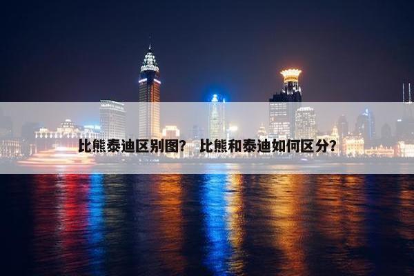 比熊泰迪区别图？ 比熊和泰迪如何区分？