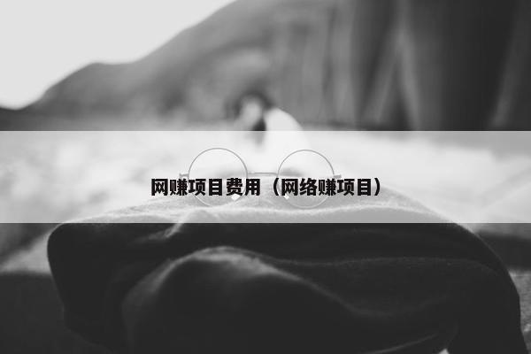 网赚项目费用（网络赚项目）