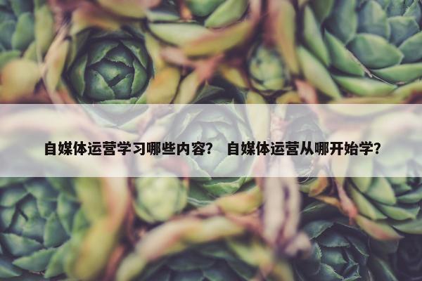 自媒体运营学习哪些内容？ 自媒体运营从哪开始学？