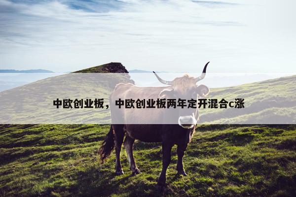 中欧创业板，中欧创业板两年定开混合c涨
