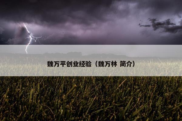 魏万平创业经验（魏万林 简介）