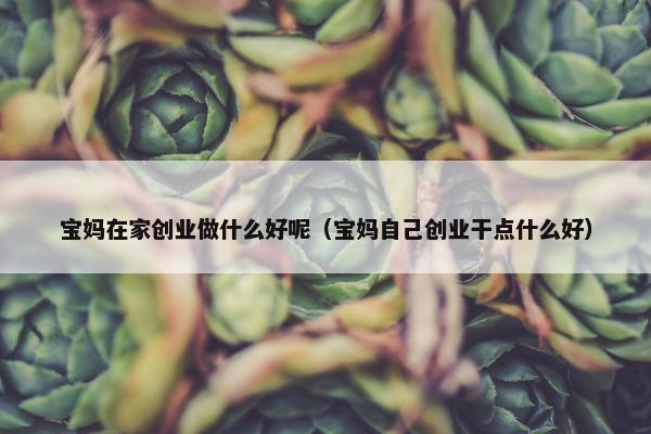 宝妈在家创业做什么好呢（宝妈自己创业干点什么好）