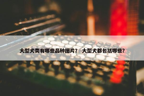 大型犬类有哪些品种图片？ 大型犬都包括哪些？