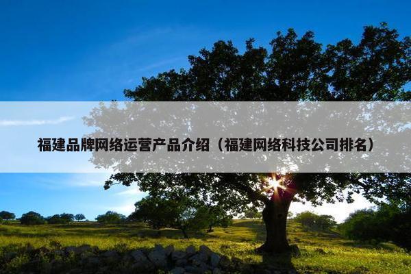 福建品牌网络运营产品介绍（福建网络科技公司排名）